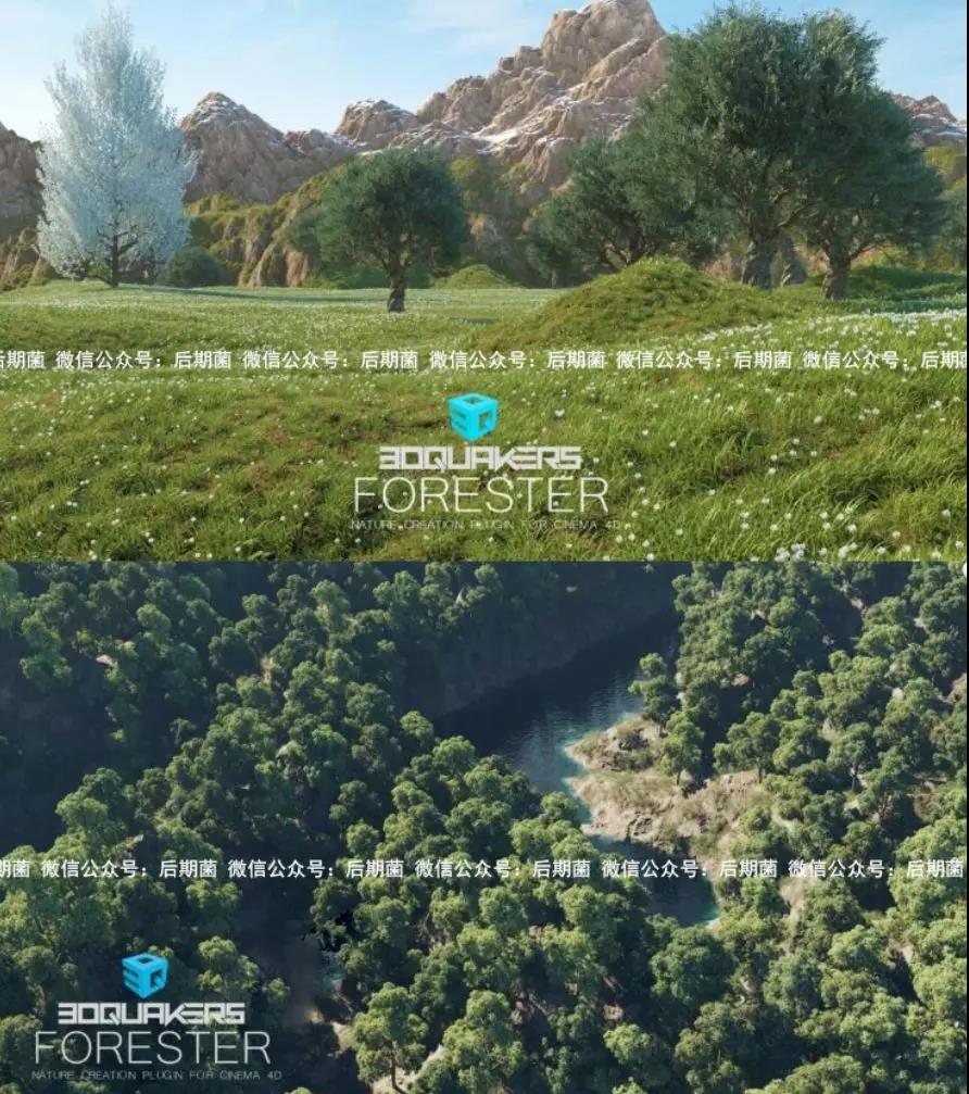 Forester植物插件